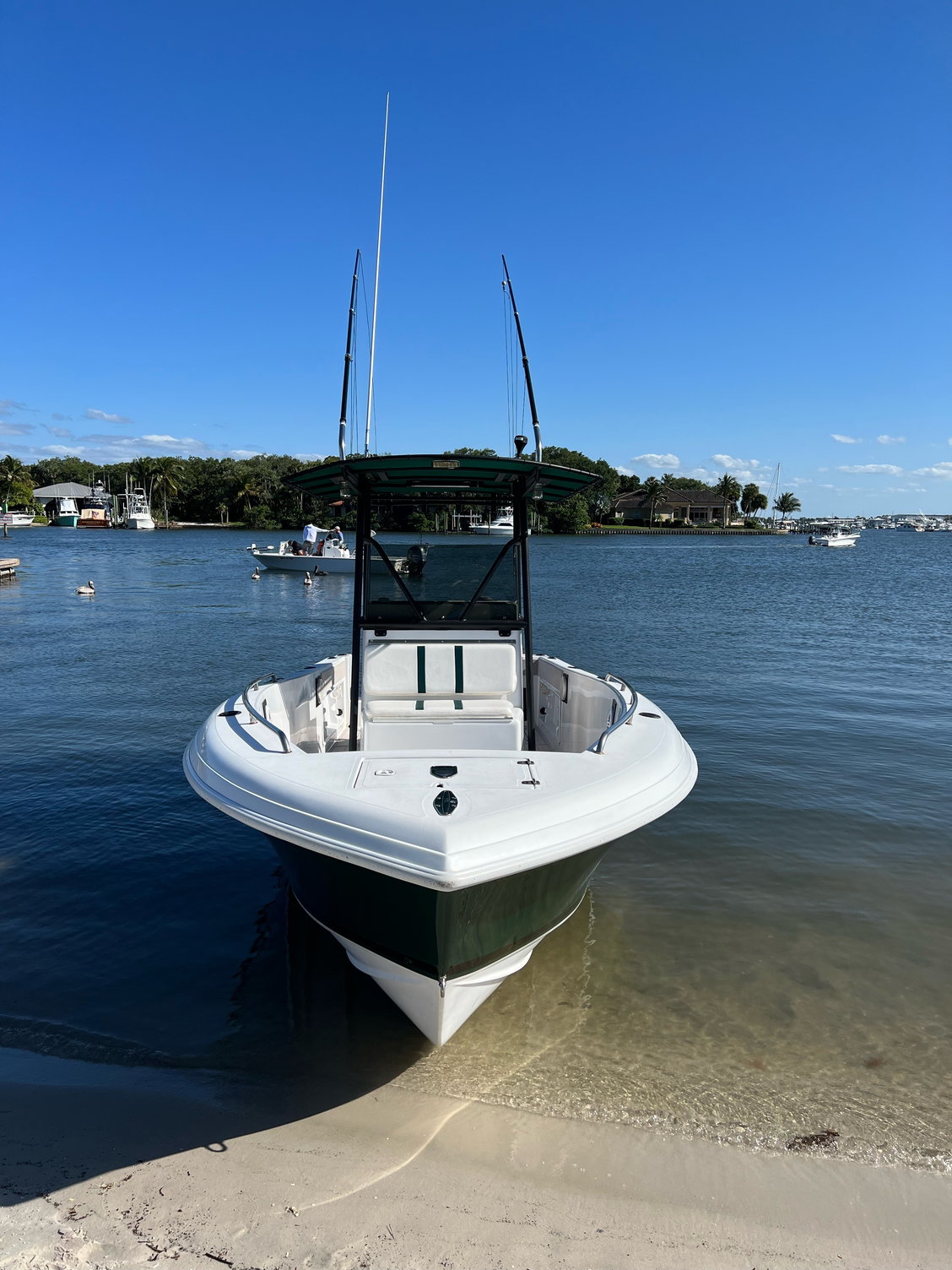 Bluewater 2350 For Sale- 45K - The Hull Truth - Boating and Fishing Forum