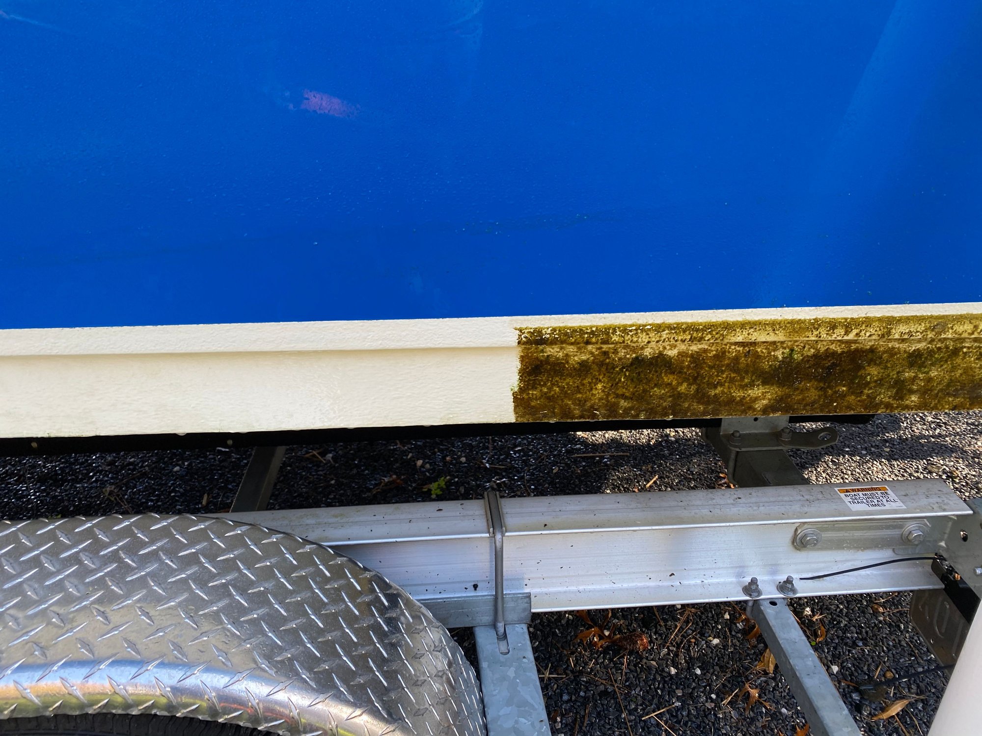 Anyone Try White Bottom Paint? The Hull Truth Boating and Fishing Forum