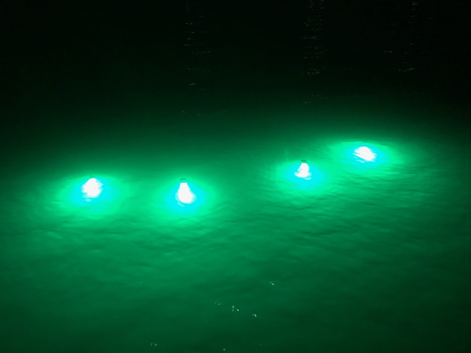 Green lights underwater. - The Hull Truth - Boating and Fishing Forum