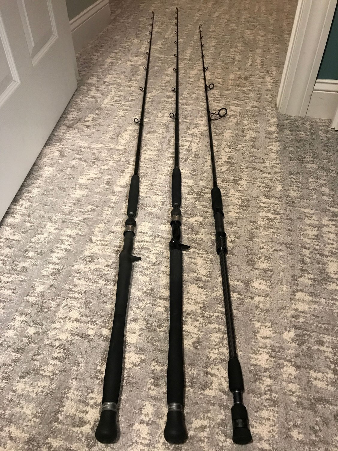 black hole rods