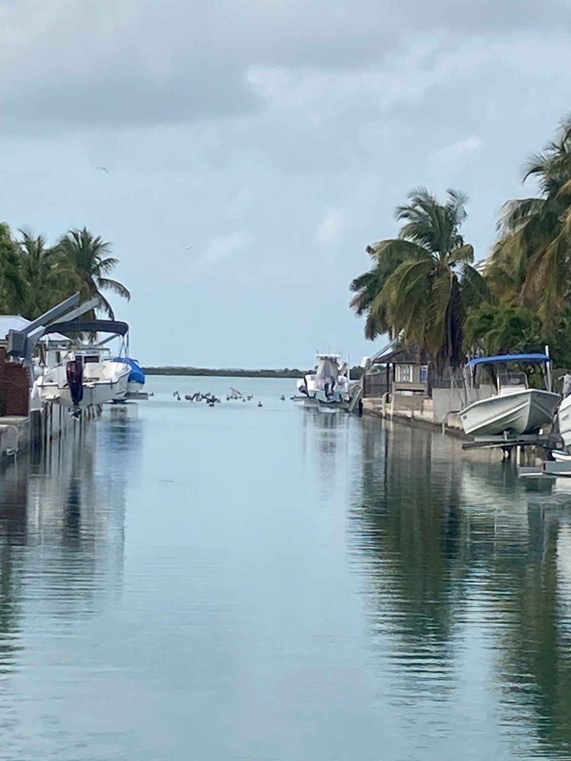 Lower Keys Report - The Hull Truth - Boating and Fishing Forum