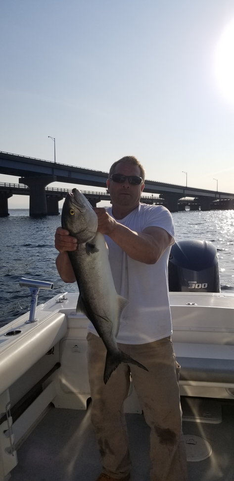 Barnegat Bay is Fishless - Page 5 - The Hull Truth - Boating and