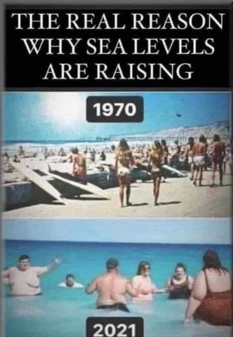 18ae9ccd_2c64_44b0_99cb_c1d8bc1ec2fd_74a