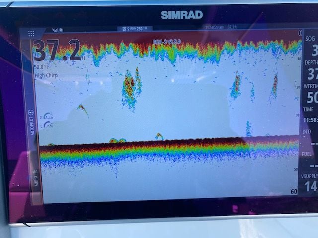 Simrad NSS Evo2 question(s) - The Hull Truth - Boating and Fishing Forum