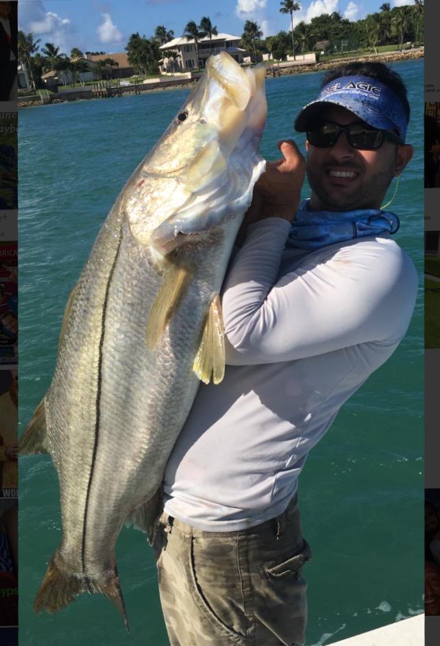 Can anyone give me any info about the florida state record snook? - The  Hull Truth - Boating and Fishing Forum