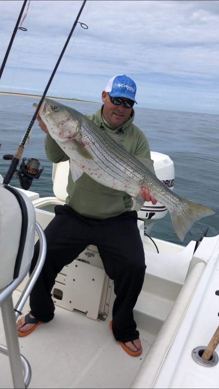 What size and where for hard-fighting striped seabass? - The Hull