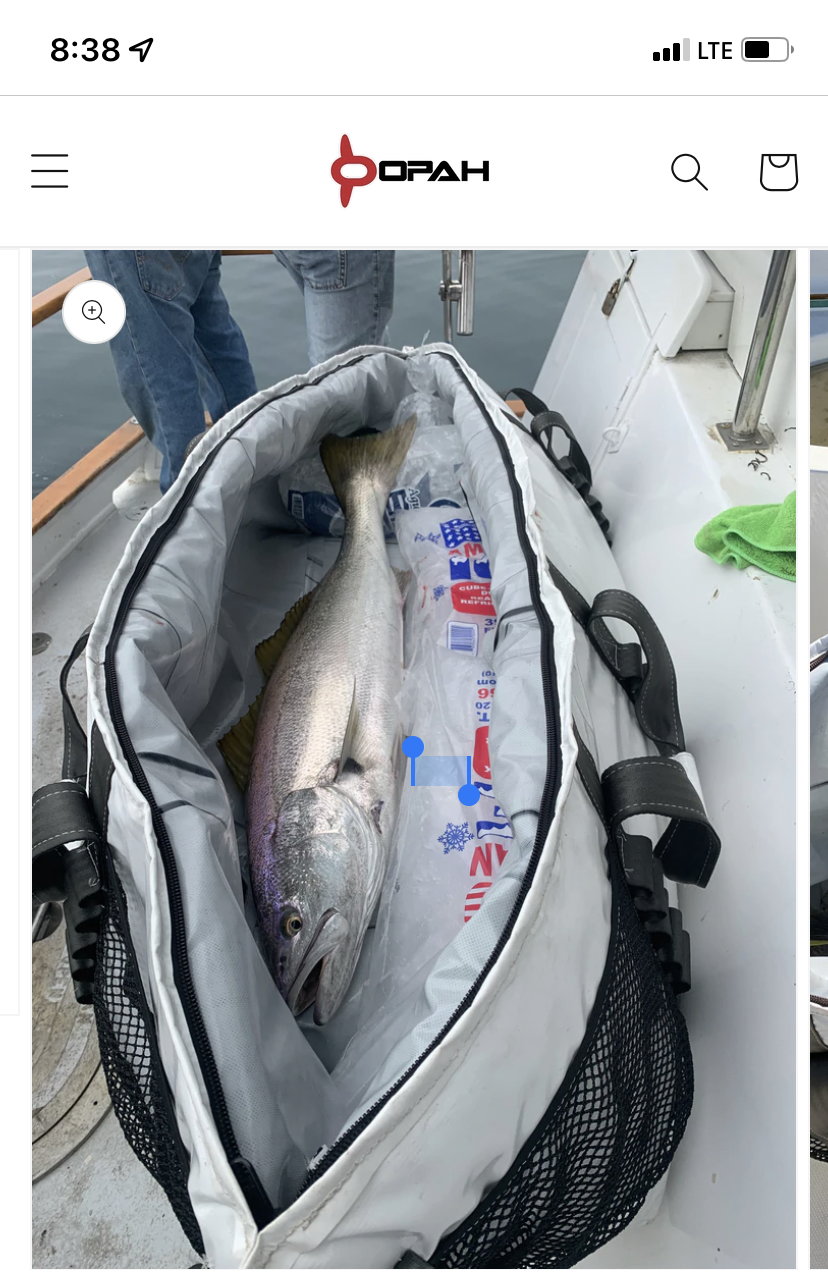 WTB: Fish Kill Bag anyone have one or recommend - The Hull Truth - Boating  and Fishing Forum
