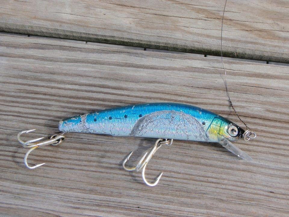 The Mighty Fish Tackle Company Custom Bluefish Leader 7/0 / 24