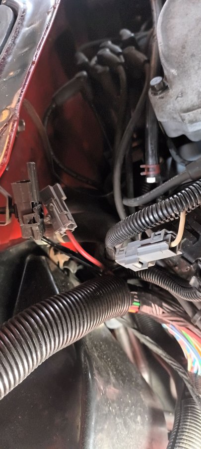 i removed the sheath from the harness but no vacuum lines