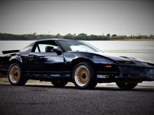 Untitled Album 2021-01-24 03:00:00