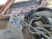 Rounting of vacline. 