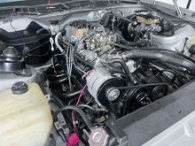 Proximity to fuel lines is worrying, but probably no more so than 40 year old fuel lines are to begin with.