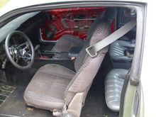 81