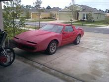the day i got her..sad and pitiful looking.been sitting in a garage for three years!