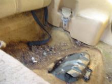 Driverside Passenger Rear Seat Same thing MICE Made A Mess.