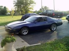 cartersfirebird (3)