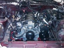 The LS1 before I put the carb on.