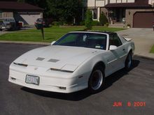 1987 GTA Trans am