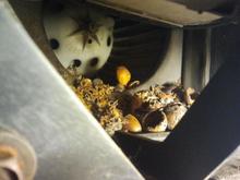 Now I know why the fan was making a racket!