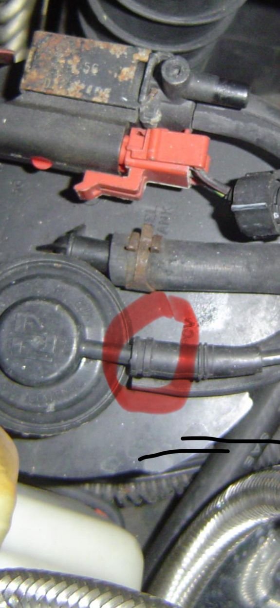 Is this the hose that I need to remove and plug?