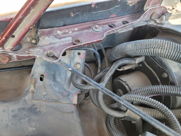 Rounting of vacline. 