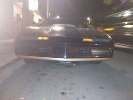 bumper grills