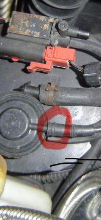 Is this the hose that I need to remove and plug?