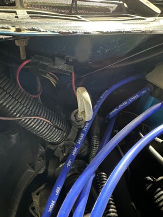 I have 12volts to this connection with the red wires when the key is on the fan is turned on. 