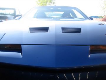 I just like this Pic.