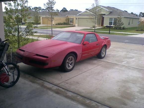 the day i got her..sad and pitiful looking.been sitting in a garage for three years!