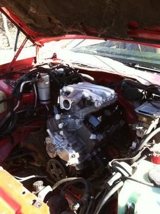 3.1L lowered into car. Wow, I could have had a V8.