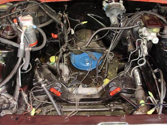Engine bay after repaint