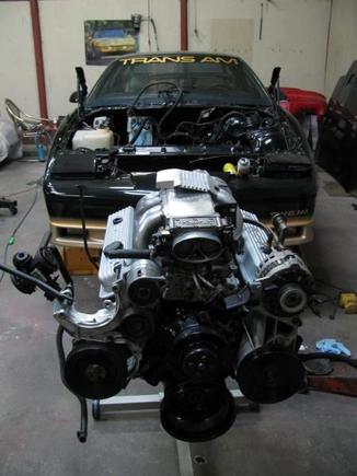 Getting ready to drop in the newly built tpi engine.