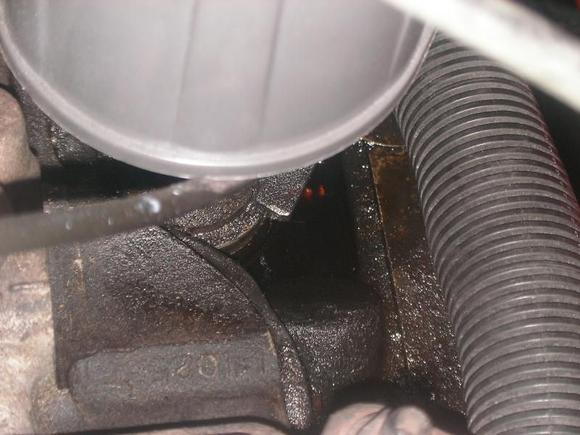 Possible Distributor O-Ring Leak ??