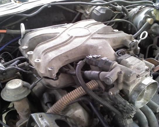 Plenum Disconnected