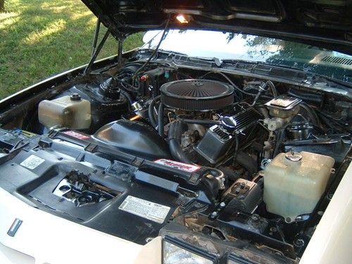 Camaro 3