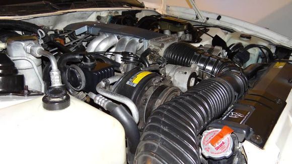 Engine Compartment