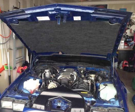 Clean engine bay 1