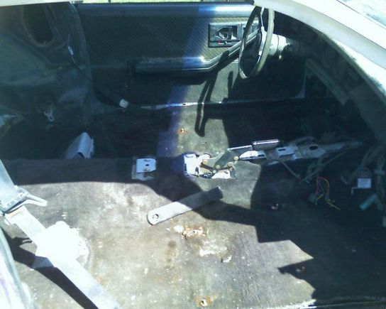 inside after removal of seats