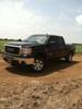 The Black Stallion The Black Stallion
