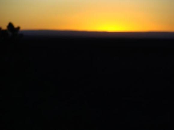 DSC01613