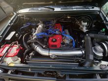 Cold air system, new radiator, piston hood lifts, blue silicone hoses, clean engine bay