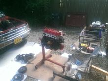determined to find and eliminate that oil leak