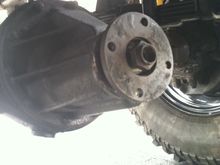 Dirty old gasket and dust shield