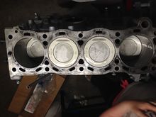 Pistons look good in their new home