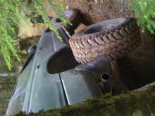 IMG 0409[1]