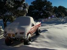 Snow



2-20-2011