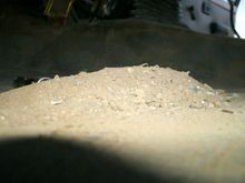 600xCarpet dirtpile2