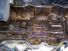 My water and oil mixed due to the timing chain rubbing a hole in the timing cover and that is the mess thats left in my valve cover