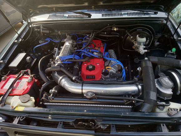 Cold air system, new radiator, piston hood lifts, blue silicone hoses, clean engine bay